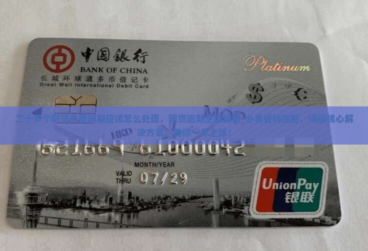 二十多个网贷全面逾期应该怎么处理