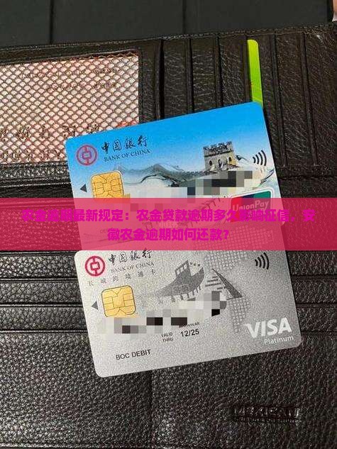 农金逾期最新规定