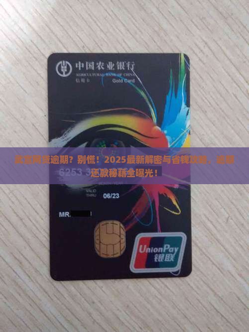 武宣网贷逾期逾期还款办理流程详解