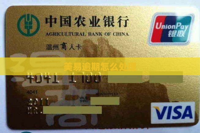 美易速贷还不上会怎么处理
