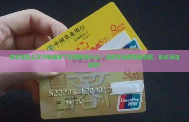 微享加怎么又开始催收了的原因是什么