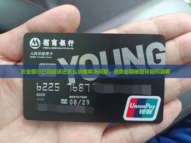 农业银行已经起诉还怎么协商解决问题