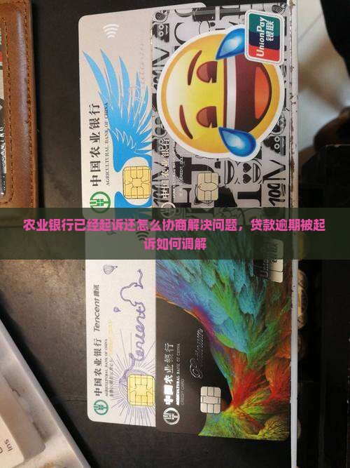 农业银行已经起诉还怎么协商解决问题