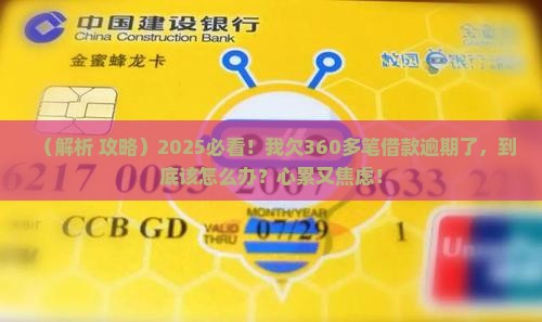 360多笔借款逾期如何处理