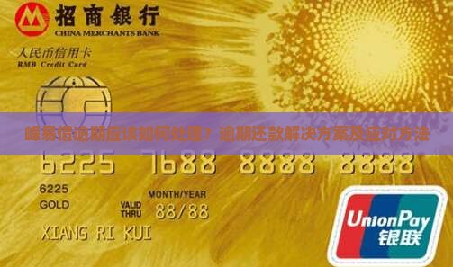 峰易借逾期应该如何处理