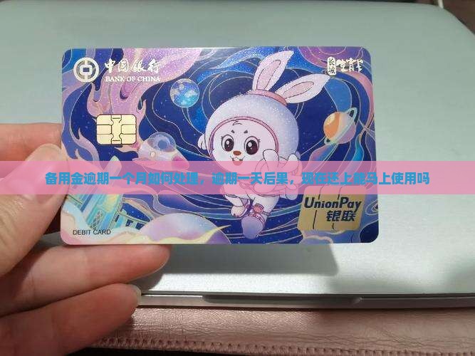 微博备用金逾期一个月如何处理