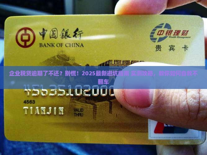 企业税贷逾期了不还怎么办