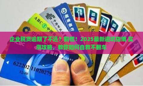 企业税贷逾期了不还怎么办