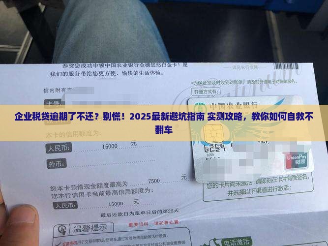 企业税贷逾期了不还怎么办