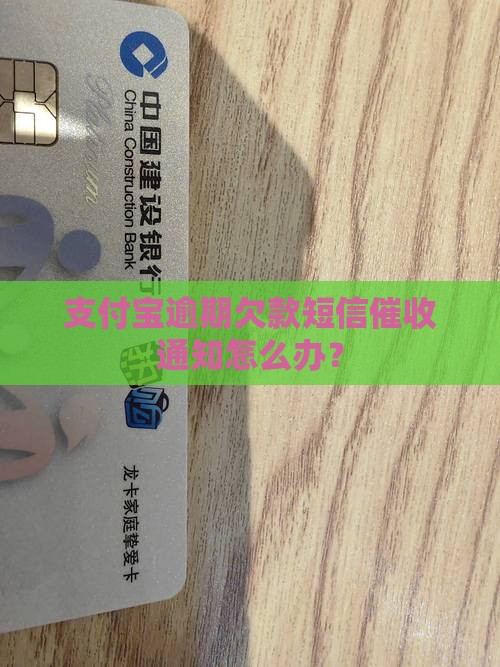 支付宝逾期欠款短信催收通知怎么办