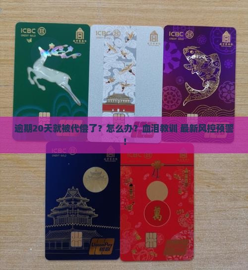 逾期20天就被代偿了怎么办
