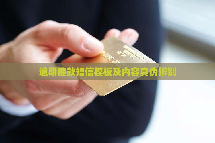 逾期催款短信
