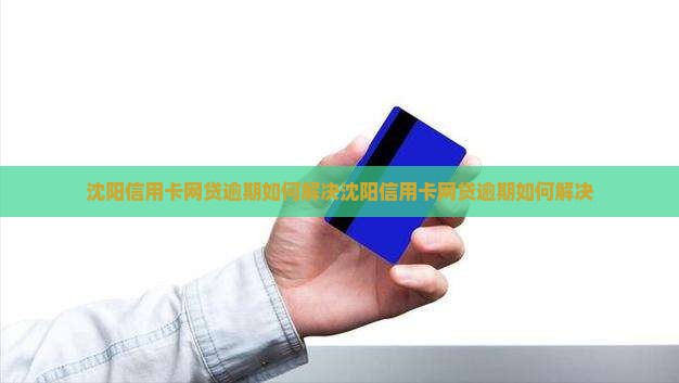 沈阳信用卡网贷逾期如何解决