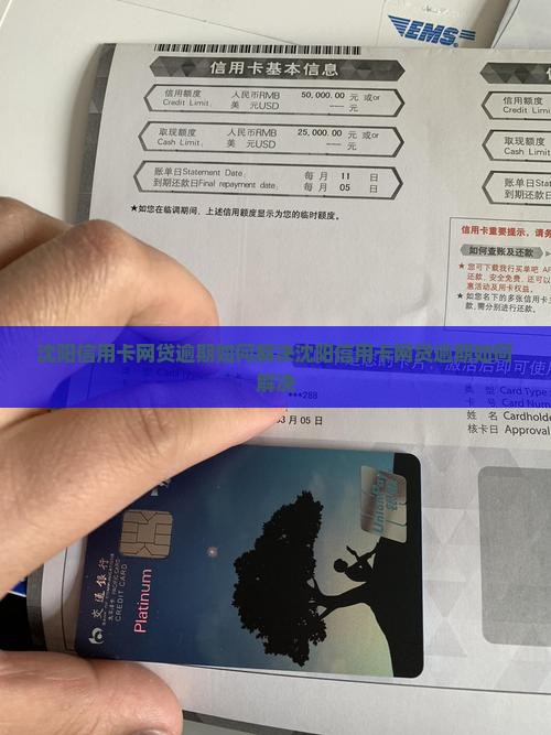 沈阳信用卡网贷逾期如何解决
