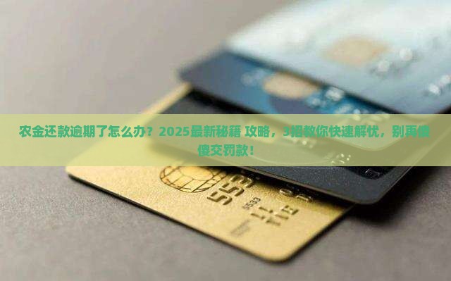 农金还款逾期了怎么办应对方法