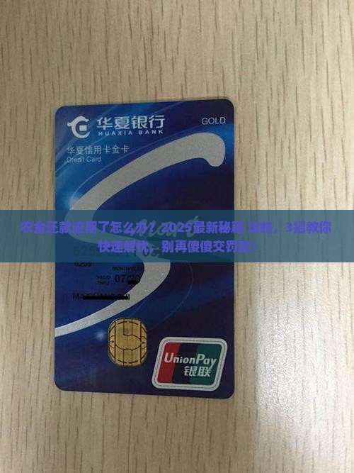 农金还款逾期了怎么办应对方法