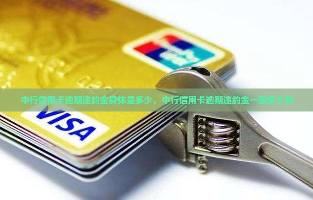 中行信用卡逾期违约金具体是多少