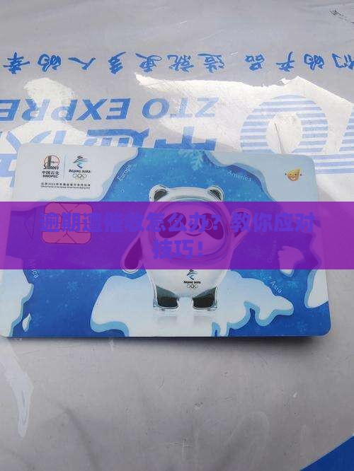 白条逾期遭催收怎么办