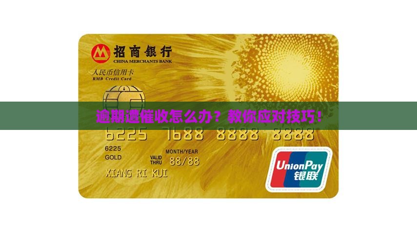 白条逾期遭催收怎么办
