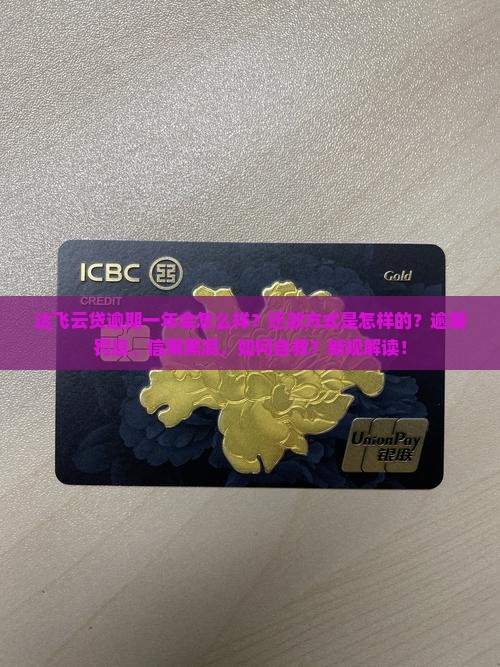 达飞云贷逾期一年会怎么样还款方式是怎样的