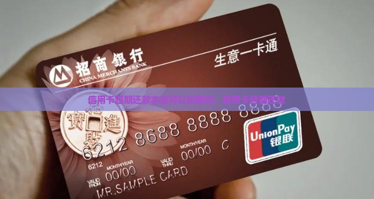 信用卡延期还款本金可以协商吗