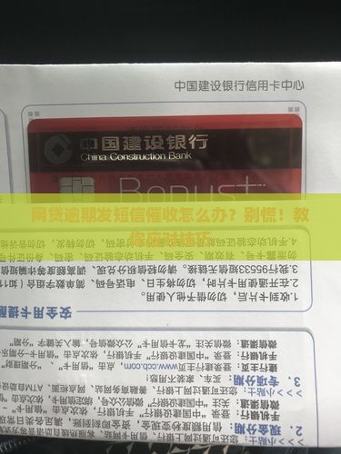 网贷逾期发短信催收怎么办