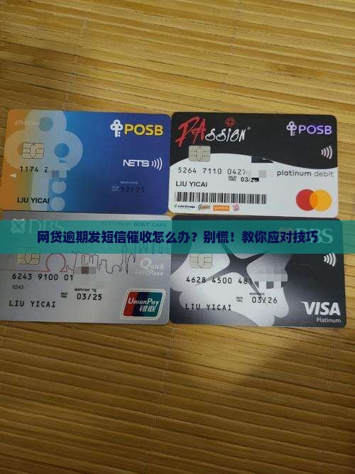 网贷逾期发短信催收怎么办