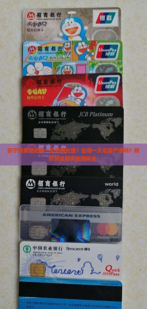 苏宁消费贷逾期一天如何处理