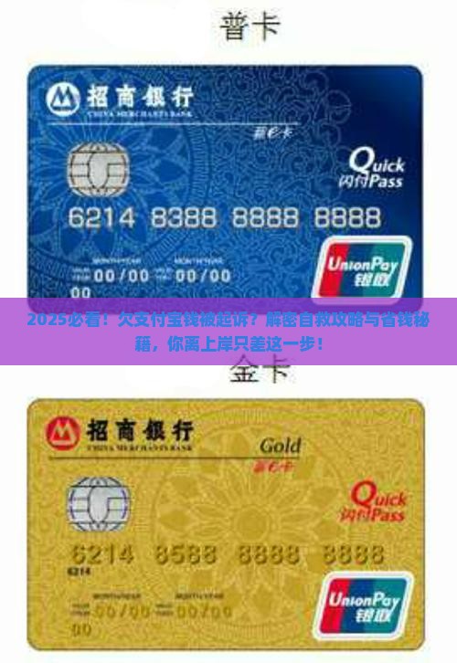 欠支付宝钱不还被起诉怎么办