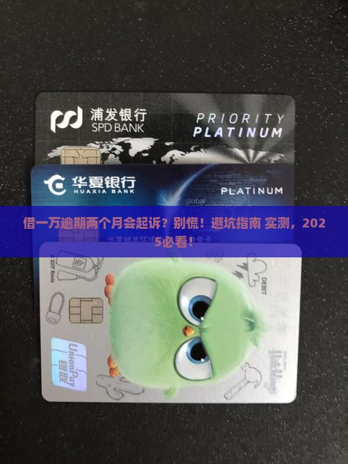 放心借款一万逾期两个月会被起诉吗