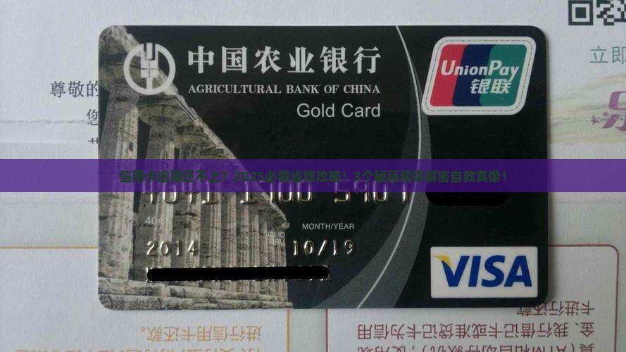 信用卡全部逾期还不上怎么办 信用卡全部逾期还不上怎么办