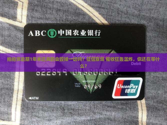 拍拍贷逾期1年未还会有什么后果