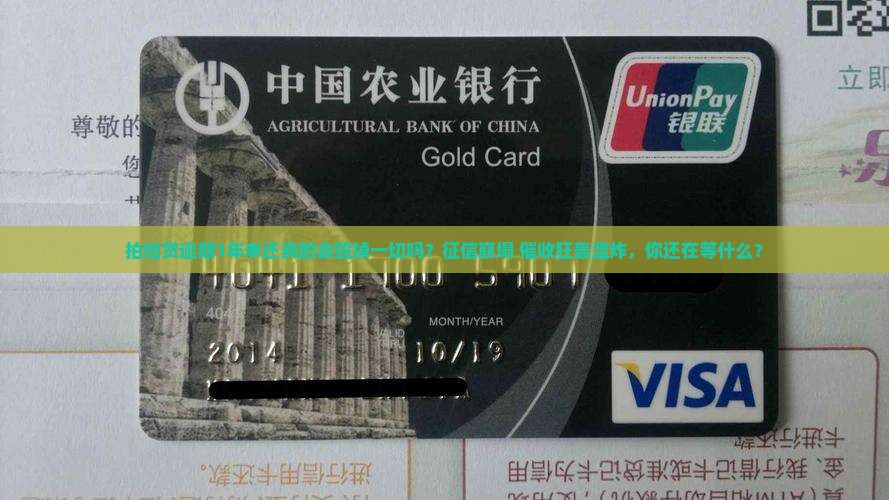 拍拍贷逾期1年未还会有什么后果