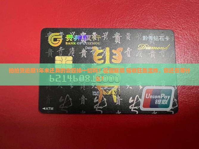拍拍贷逾期1年未还会有什么后果