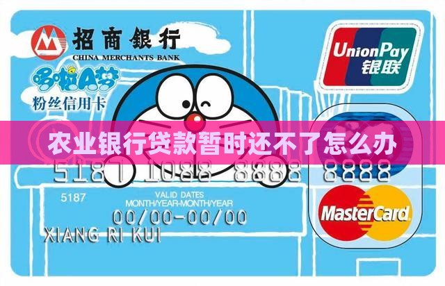 农业银行贷款暂时还不了怎么办