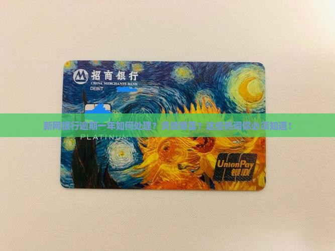 新网银行逾期一年如何处理