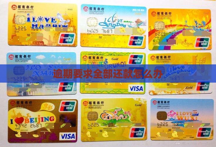羊小咩逾期要求全部还款怎么办
