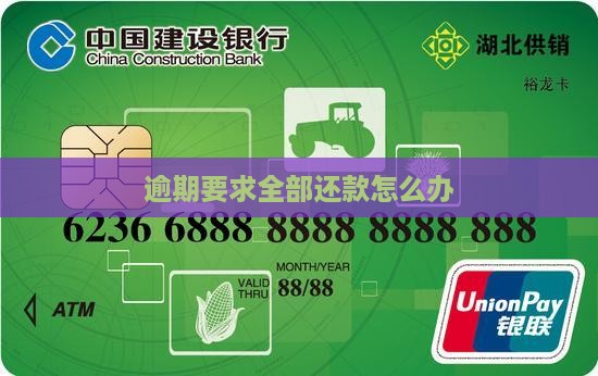 羊小咩逾期要求全部还款怎么办