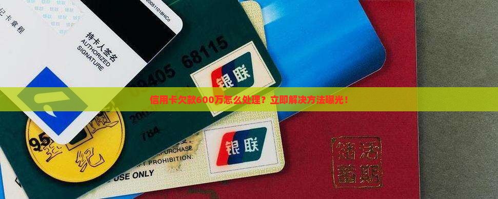 信用卡欠款600万怎么处理