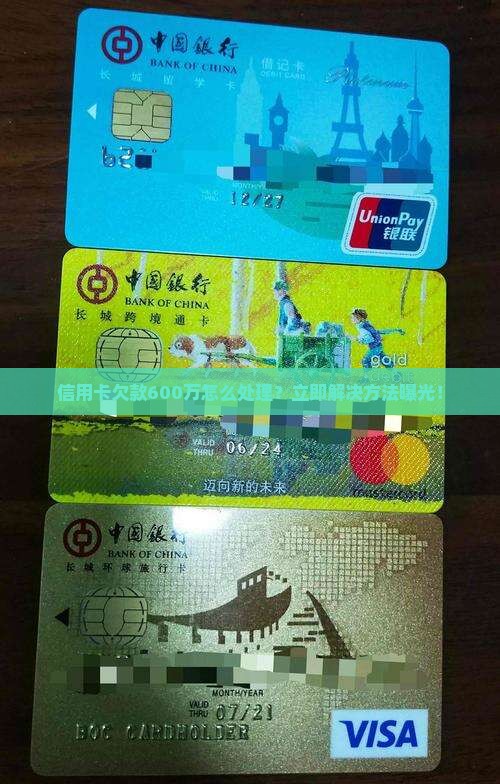 信用卡欠款600万怎么处理