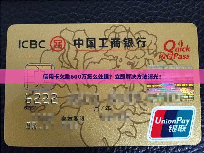 信用卡欠款600万怎么处理