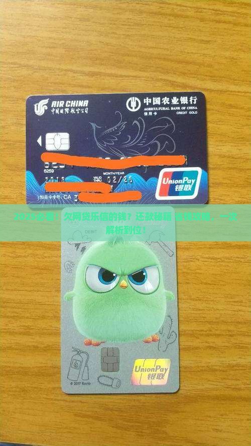 欠网贷乐信的钱怎么办理还款手续