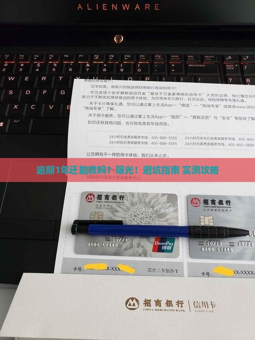 羊小咩逾期1年如何处理