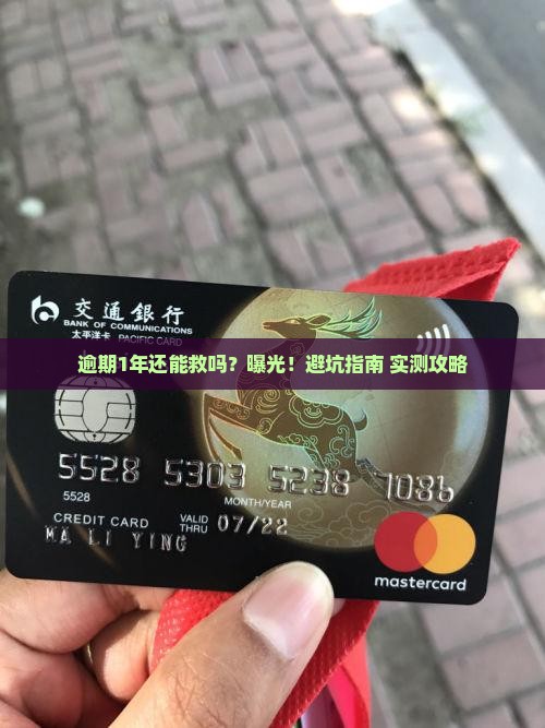 羊小咩逾期1年如何处理