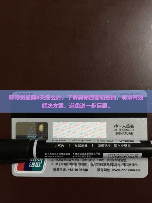 呼呼贷逾期4天怎么办