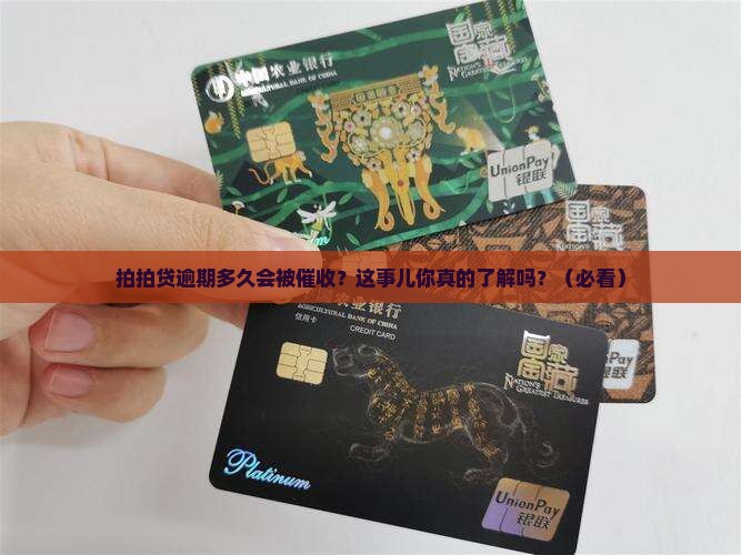 拍拍贷逾期多久会收到催收函件