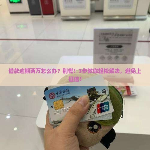借款逾期两万怎么办