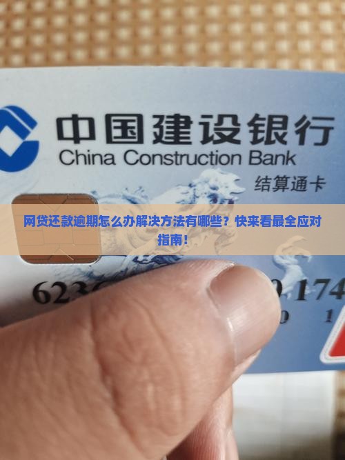 网贷还款逾期怎么办解决方法有哪些