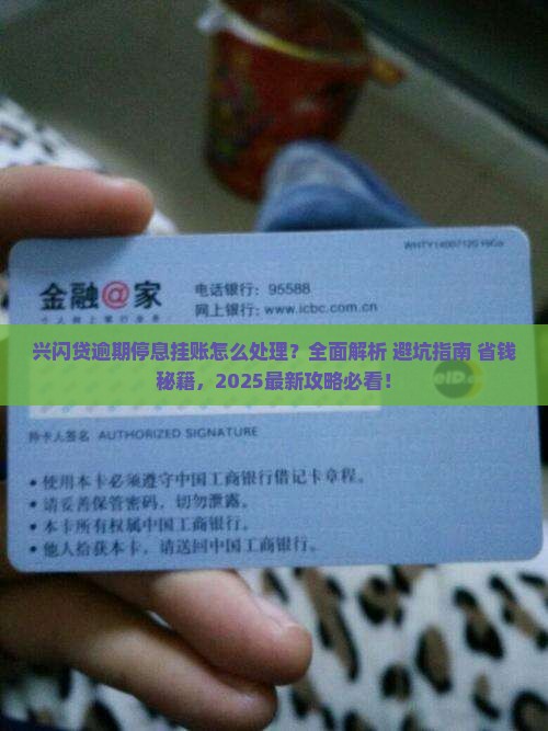 兴闪贷逾期停息挂账如何处理