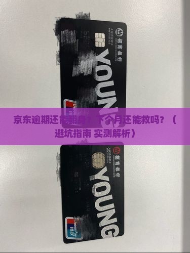 京东白条逾期能在下一个月